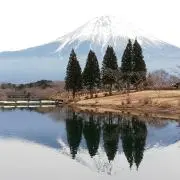 トシ