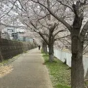 ナジ