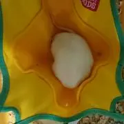 ちちやす