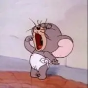 ぴぴの画像