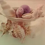 nanaの画像