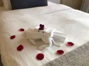 akiの画像
