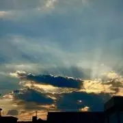 Sの画像