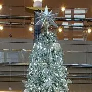 むくの画像