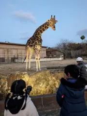 やっちゃん　断捨離中の画像