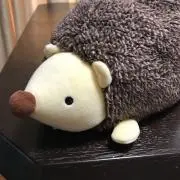 m.aotanuki3.119の画像