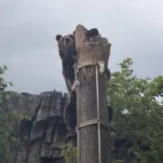まめの画像