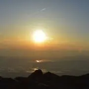 とむの画像