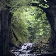 マットさんの画像