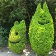 KKTTOの画像