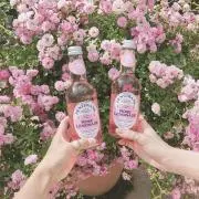 プロフ✩の画像