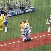 かずの画像
