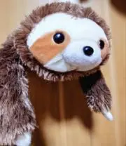 Slothの画像