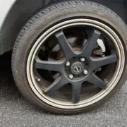 グスマンの画像