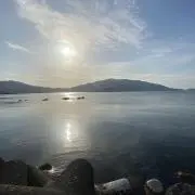 ラムの画像