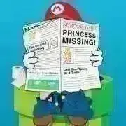 ルイボス　※プロフ読んで下さい。の画像