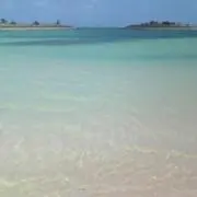 あぴの画像