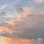 kuru【プロフの確認をお願い致します】の画像