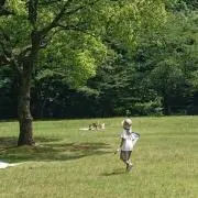 アルパパの画像