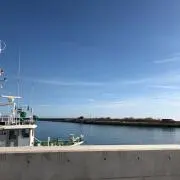 げん