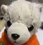 あやたんの画像