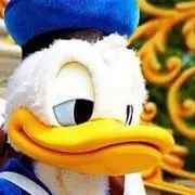 しゅしゅんの画像