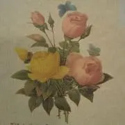 Roseの画像