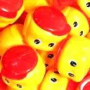 Kakitの画像