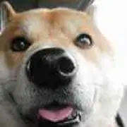 花っち♪の画像