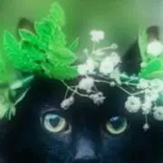 odawaramudouの画像