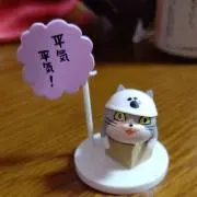chieko625の画像
