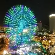 kamomeの画像