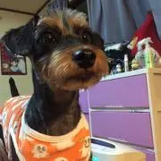 けいてぃ　プロフ確認お願いいたします。の画像