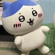 ハチの画像