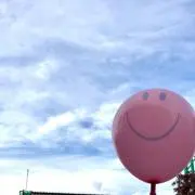 yの画像