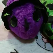 美結の画像