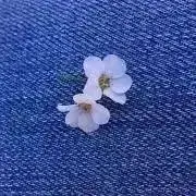 nanairo☺︎の画像