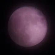 y なるべく安くをモットーにの画像
