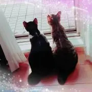 ⭐みのり⭐