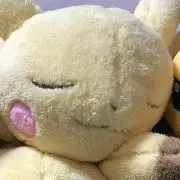 ゆゆゆ