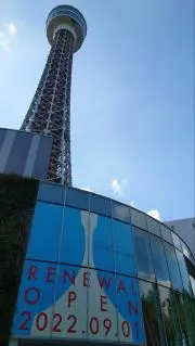ツバメの画像