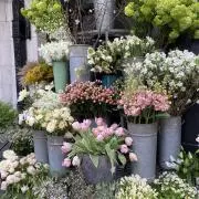 たかぽんの画像