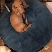 みや