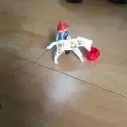 リプサリス　お休み中購入しないでください