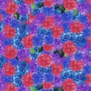 emicoの画像