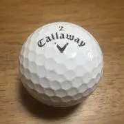 ロビンの画像