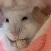 ゆう