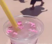 千歳の画像