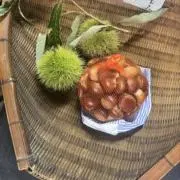 福ちゃんの画像