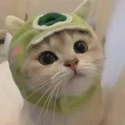 えもっさの画像